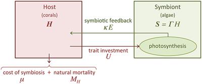 A Trait-Based Model for Describing the Adaptive Dynamics of Coral-Algae Symbiosis